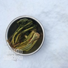 #047.【ゲスト：金子健一さん】自分も作ってみて分かる、野菜農家さんの想い