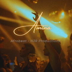 Amina - NJR Productions (instrumental)