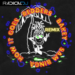 Sam Binga x Bakey x Redders - How It Goes (Radical DJ Remix)