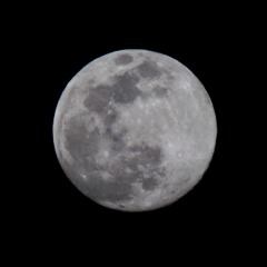 Dance Under The Moonlight