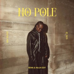 NO POLE (SENA & NAJA EDIT) *preview due to copyright*