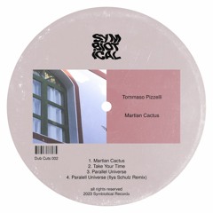 Premiere : Tommaso Pizzelli - Take Your Time