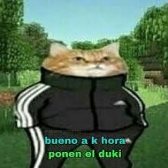 CAT CON BUZO TRIPALOSKI EN MAINCRA (BEAT EN VENTA)