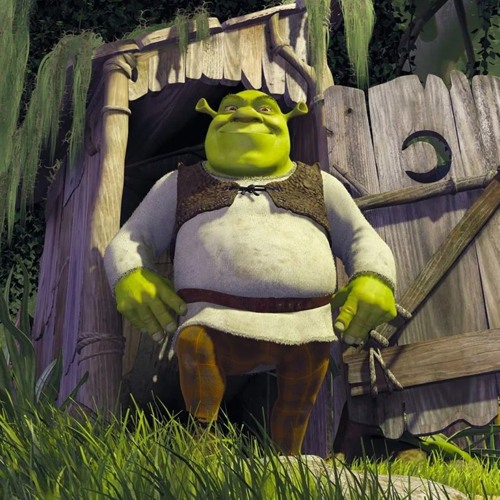 My swamp
