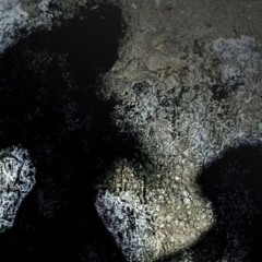 Last Souls