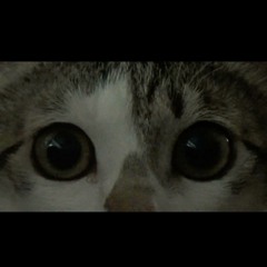 나는 손님이 아니었군요