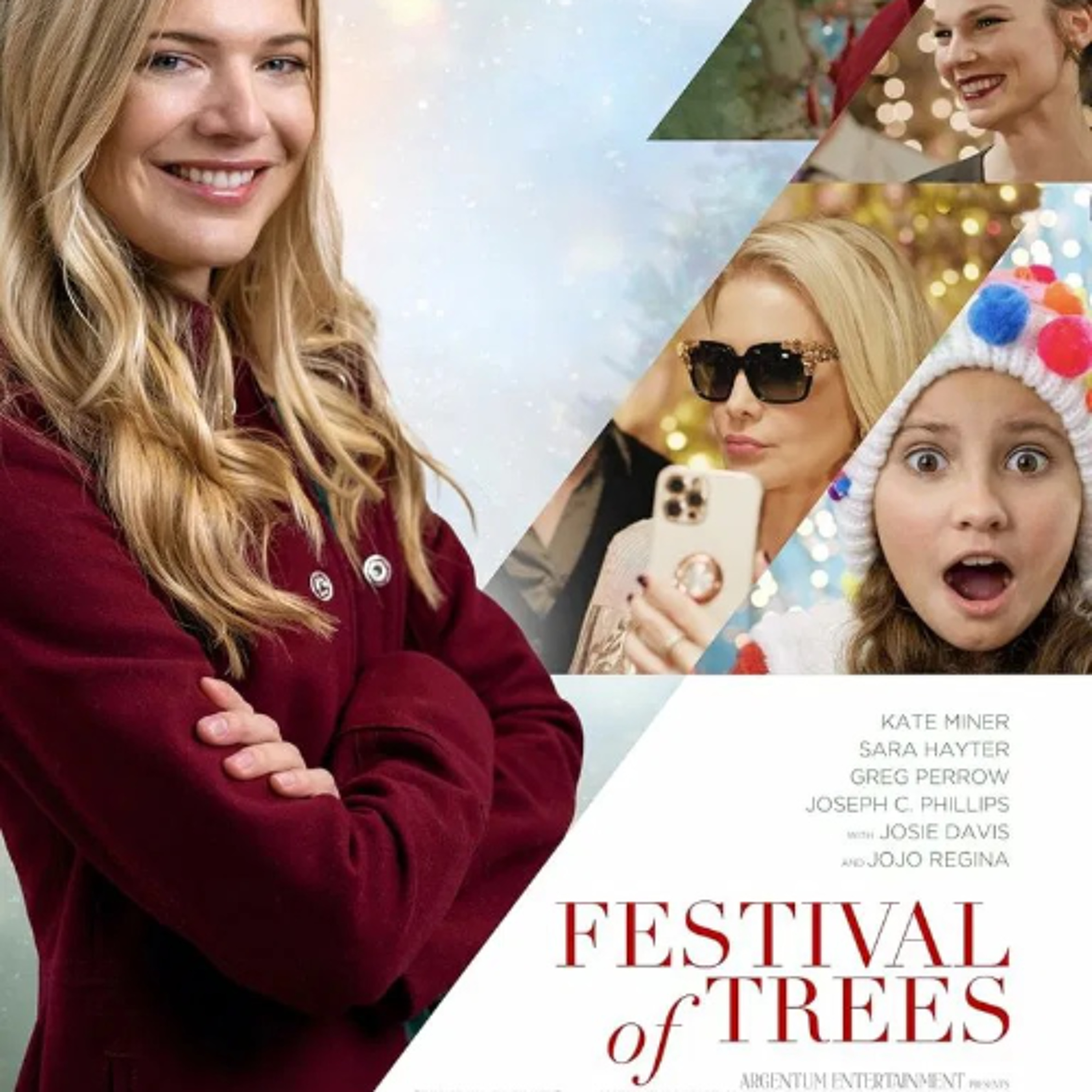 Festival Of Trees