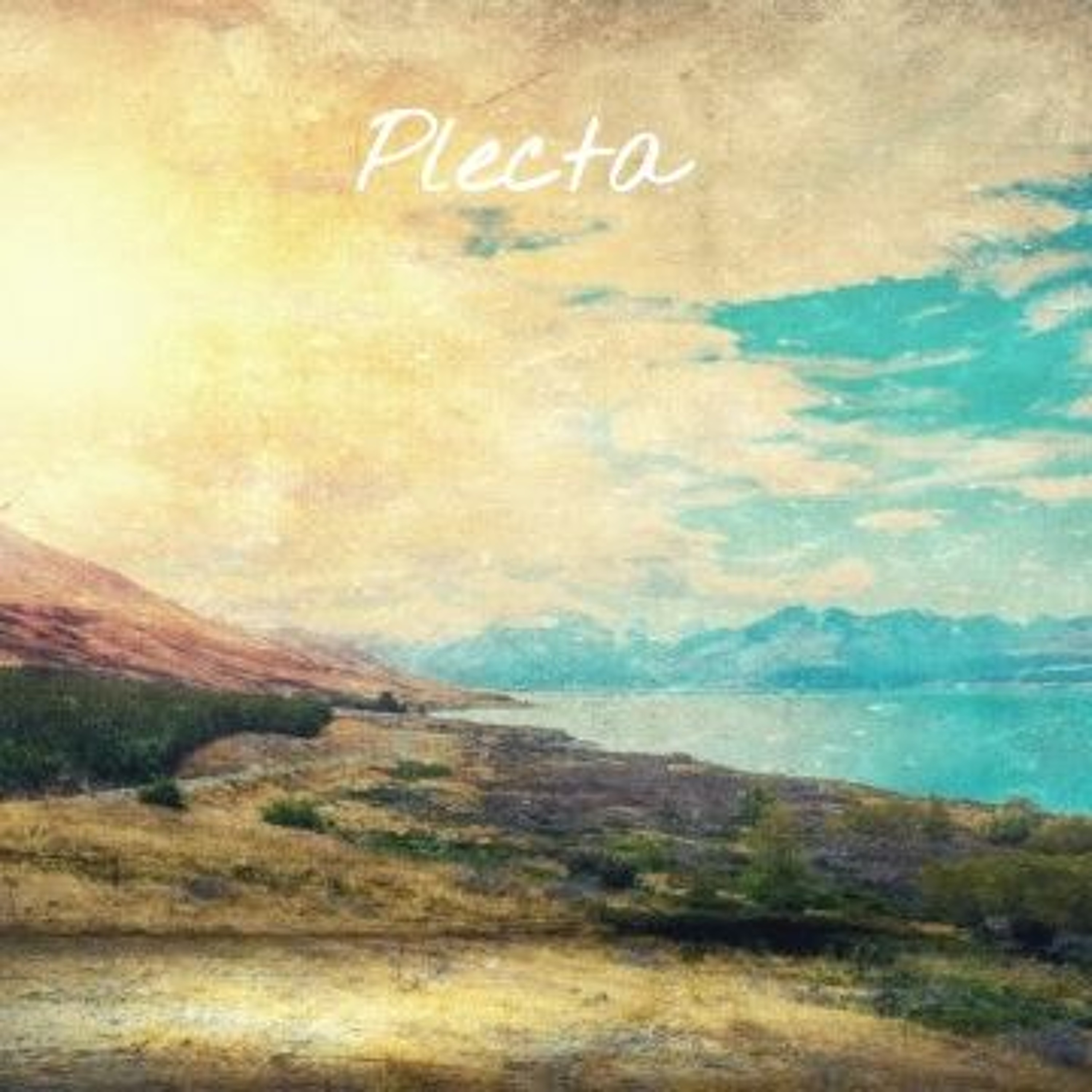 Canopy Sounds 110 - Plecta