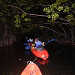 Review Special Price Puerto Rico Sunset Magic Bio Bay Kayaking Tour From Fajardo