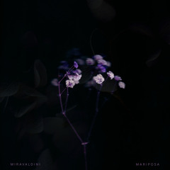 Mariposa