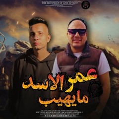 عمر الاسد مايهيب - بحراوي و مزيكا-مهرجانات 2023