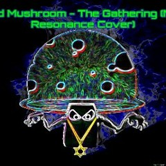 Infected Mushroom - The Gathering (Morphic Resonance Remix)