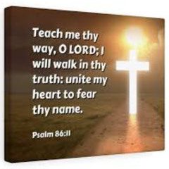 Walk & Talk ( Freestyle ) Prod.Marchi