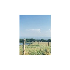PREMIERE: Bootie Grove - Last Dance