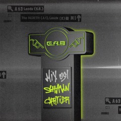 GAB MIX 051 - SHAWN CARTIER