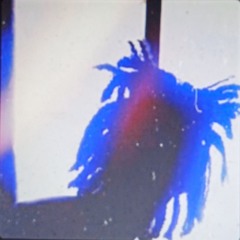 I remember Them Days - Aceboogie By STVRGVZ3R: PRE STVRGVZ3R ERA