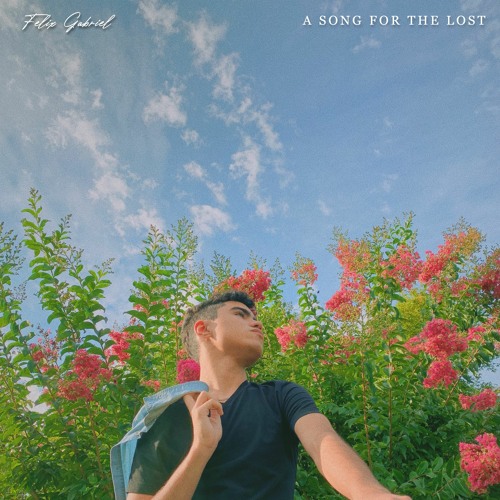 A Song For The Lost