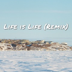 Life Is Life (Remix)