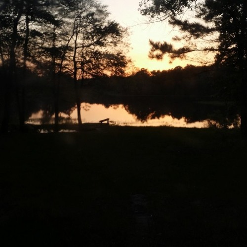 CodeDoyle - Eh99