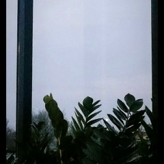 Middle Of Somewhere (ukulele Cover) | The Neighbourhood