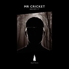 Mr Cricket - Bad Boy