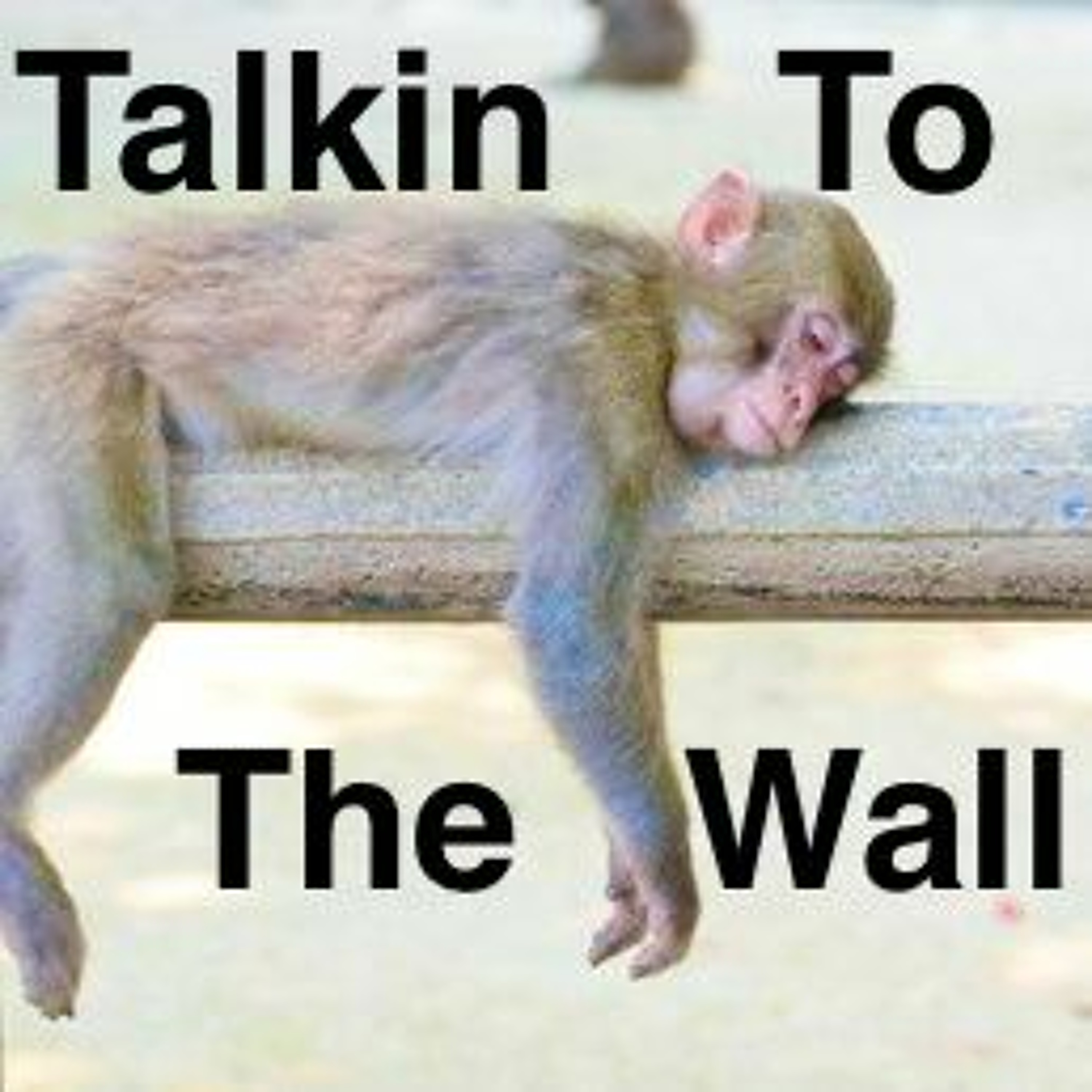 Talkin To The Wall, Episode 36, June 22, 2021:  The Sleeping Monkey Episode episode artwork