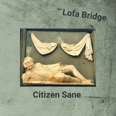 Citizen Sane