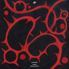 PREMIERE: Tamer - Oh I Love Us [CASA002]