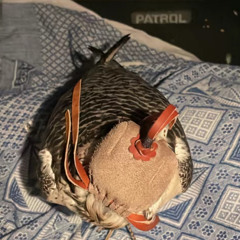 Mashup || علي بن محمد