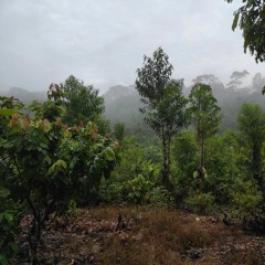 Trovador (Alonso del Río) Cover Uriel