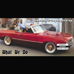True Gangsta Rap Presents - What We Do (Mix)