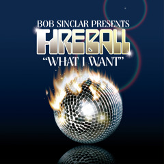 What I Want (Club Mix)