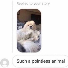 Jane Remover - no license (original mix)