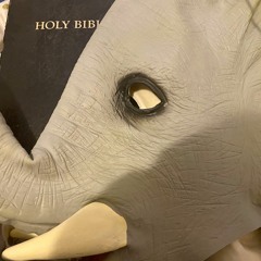 When the Pillz Wear Off(interlude)