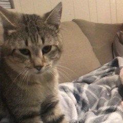 maybe DON’T die yet, yeah?