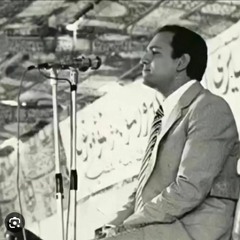 سورة يوسف. أحمد نعينع
