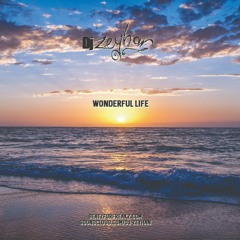 Wonderful Life (low quality mp3)