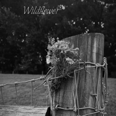 Wildflower- Billie Eilish (Cover)