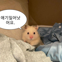 미노이 - 폰서트