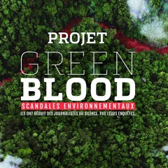 Environment journalists at risk, new documentary shows