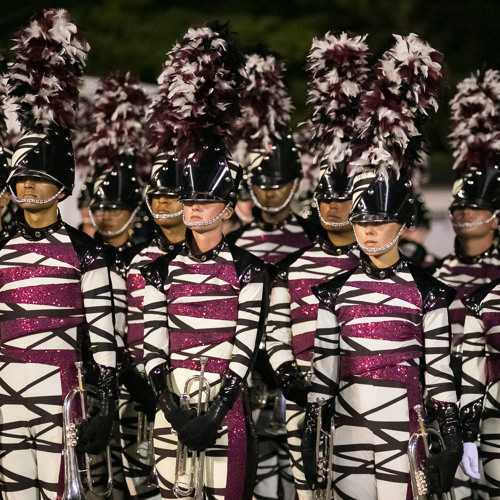The Cadets 2018- “The Unity Project”