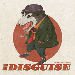 In Disguise