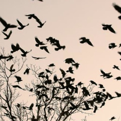 StompFreestyle! [prodJdotdtm]