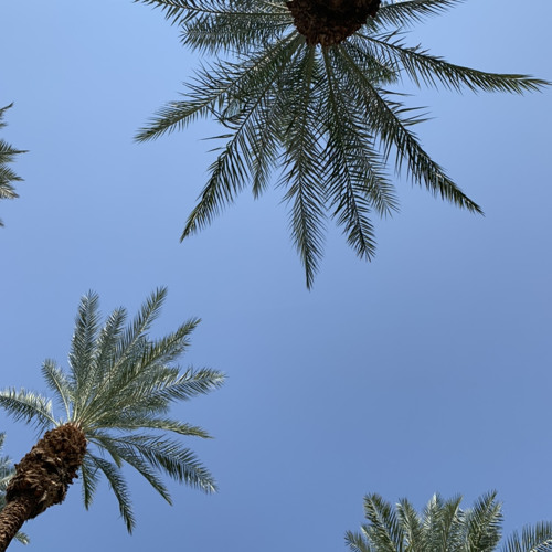 palm springs