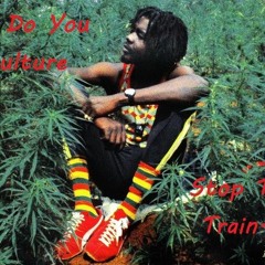PETER TOSH - Natty Bongoman Mix