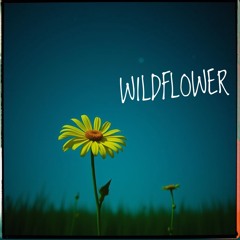 Wildflower
