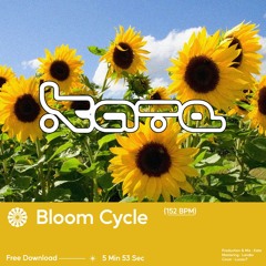 B2 - Bloom Cycle