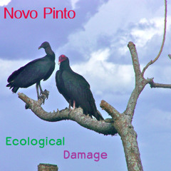 Ecological Damage