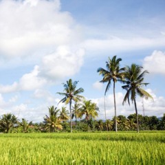 PizzaPizza @ Ra's Place, Sumbul Beach, January '25