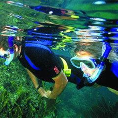 Best Snorkeling In Corpus Christi Texas Prices Reviews